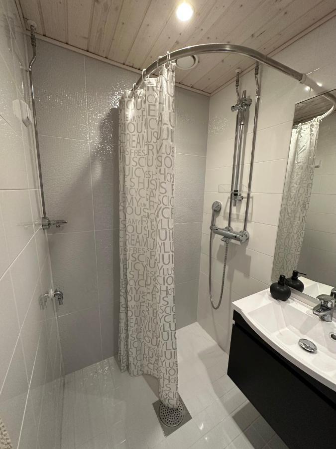 Sofia Rovaniemi City Apartment 外观 照片