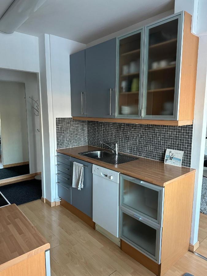 Sofia Rovaniemi City Apartment 外观 照片