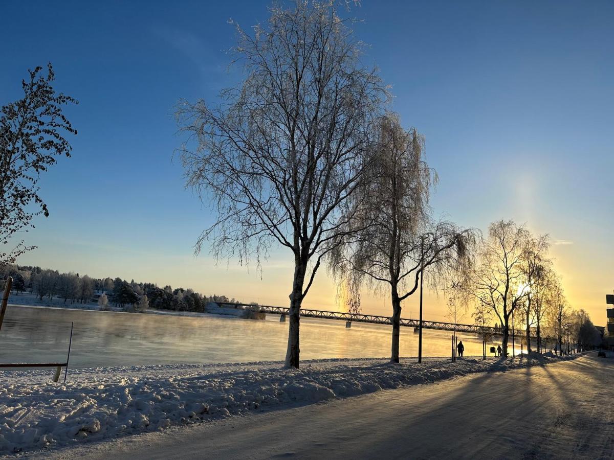 Sofia Rovaniemi City Apartment 外观 照片