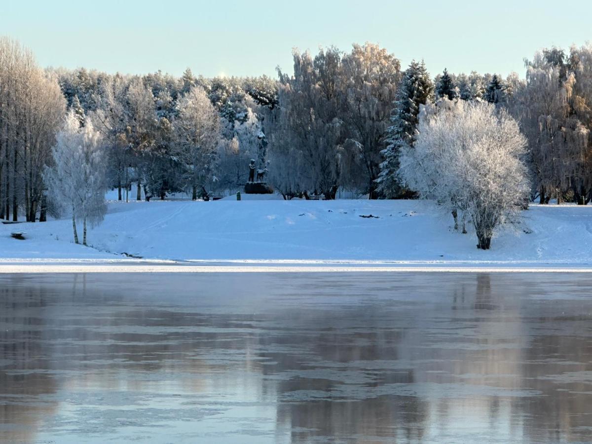 Sofia Rovaniemi City Apartment 外观 照片