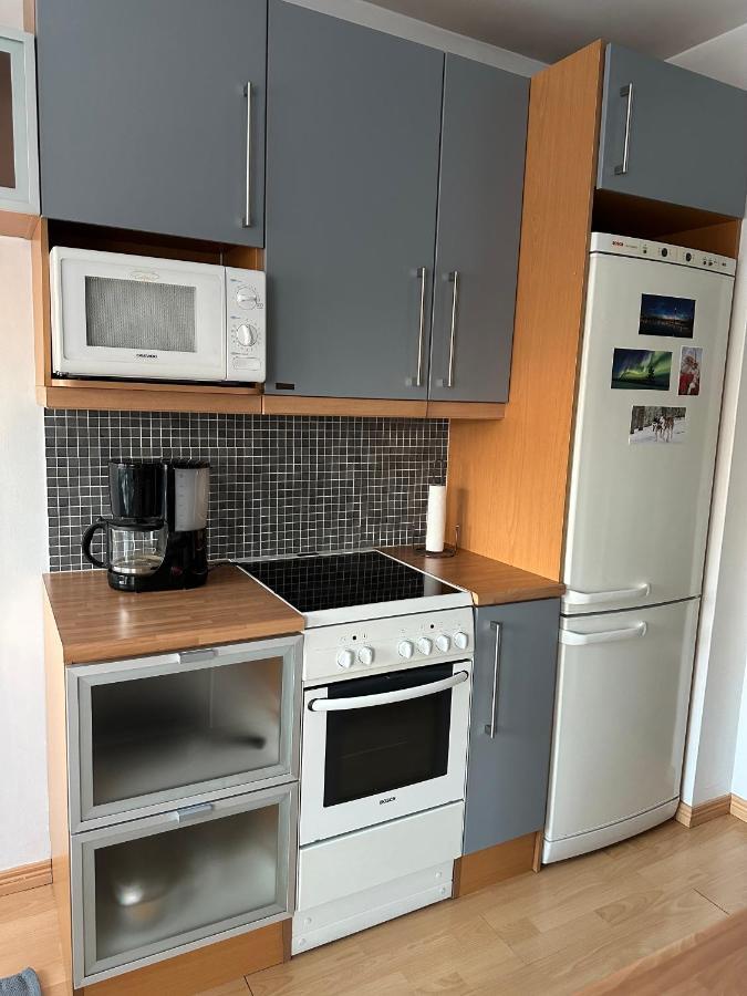 Sofia Rovaniemi City Apartment 外观 照片