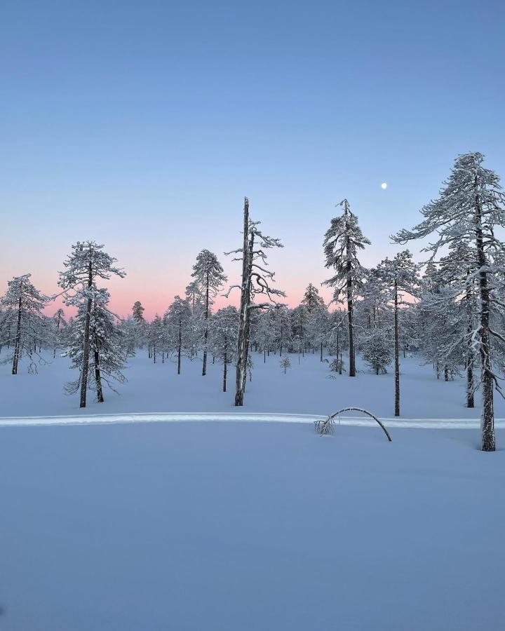 Sofia Rovaniemi City Apartment 外观 照片