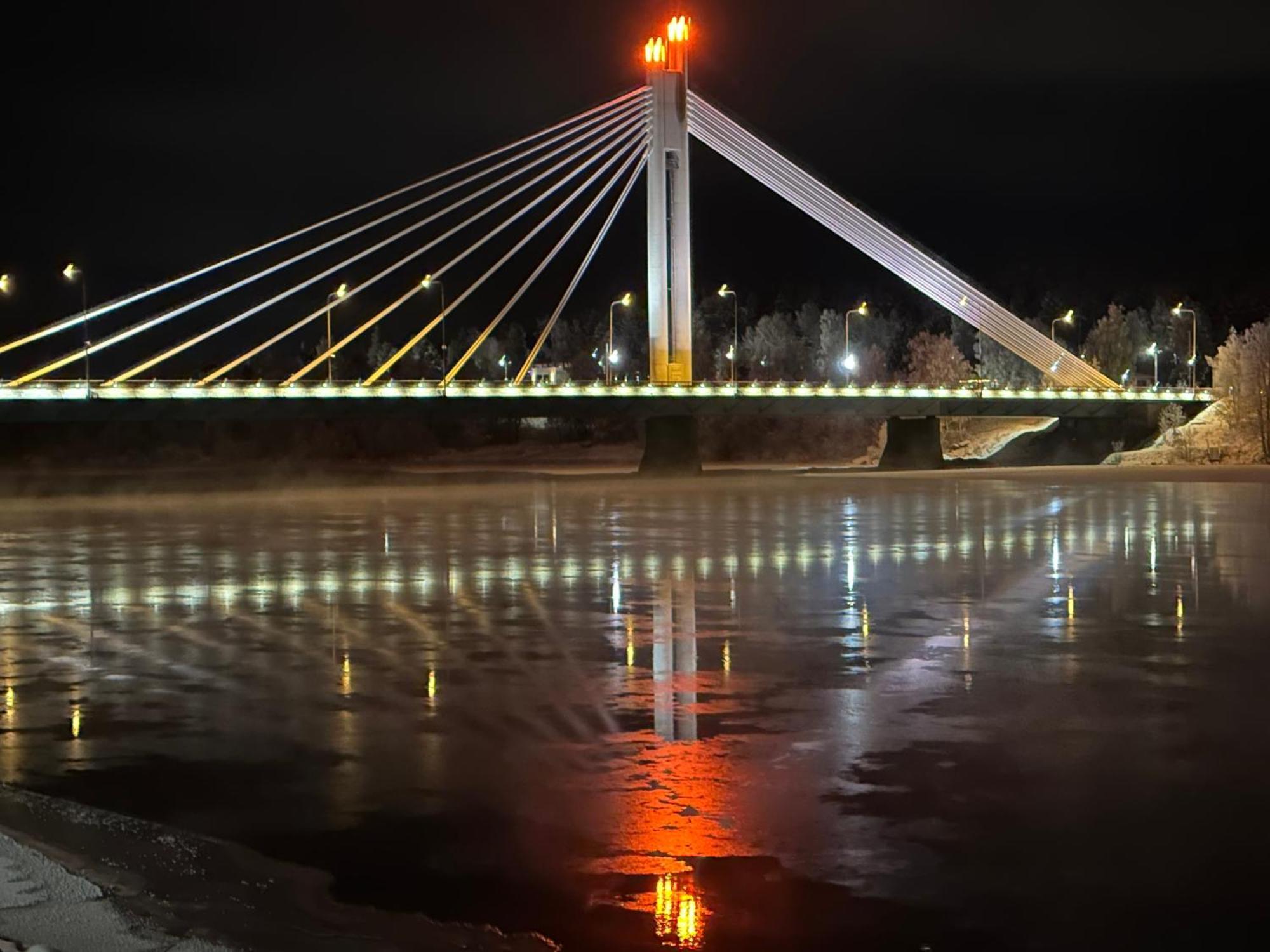 Sofia Rovaniemi City Apartment 外观 照片
